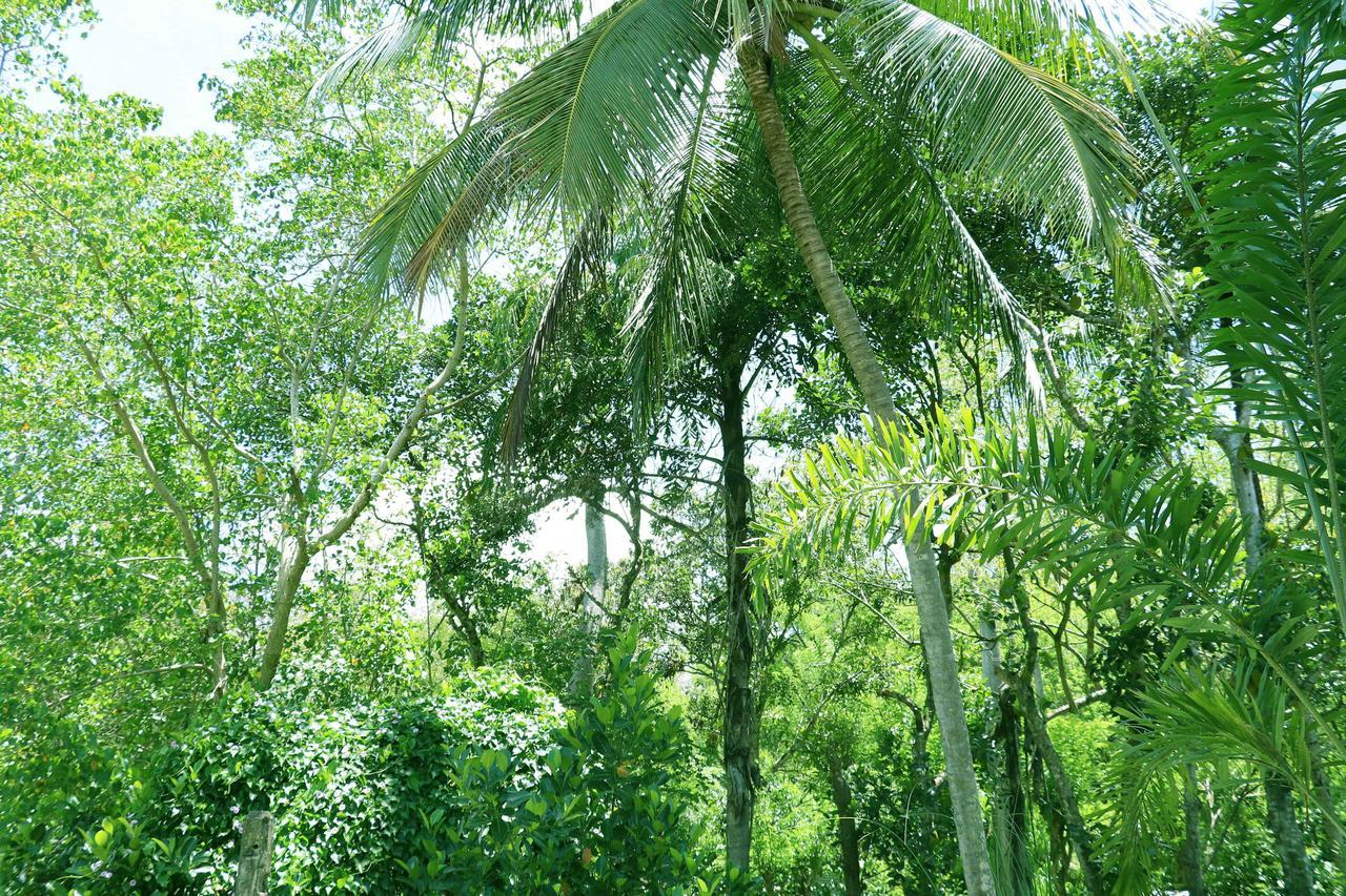 Villa Royce Kandy Eksteriør billede